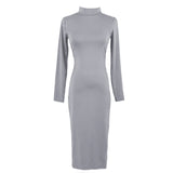 Turtle Neck Long Sleeve Pencil Slim Hip Bandage Bodycon Dress