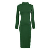 Turtle Neck Long Sleeve Pencil Slim Hip Bandage Bodycon Dress
