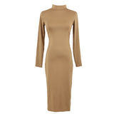 Turtle Neck Long Sleeve Pencil Slim Hip Bandage Bodycon Dress