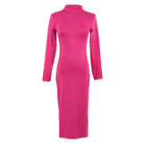 Turtle Neck Long Sleeve Pencil Slim Hip Bandage Bodycon Dress