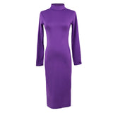 Turtle Neck Long Sleeve Pencil Slim Hip Bandage Bodycon Dress