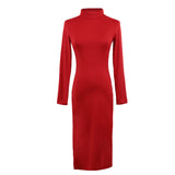 Turtle Neck Long Sleeve Pencil Slim Hip Bandage Bodycon Dress