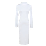 Turtle Neck Long Sleeve Pencil Slim Hip Bandage Bodycon Dress