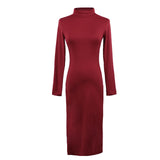 Turtle Neck Long Sleeve Pencil Slim Hip Bandage Bodycon Dress